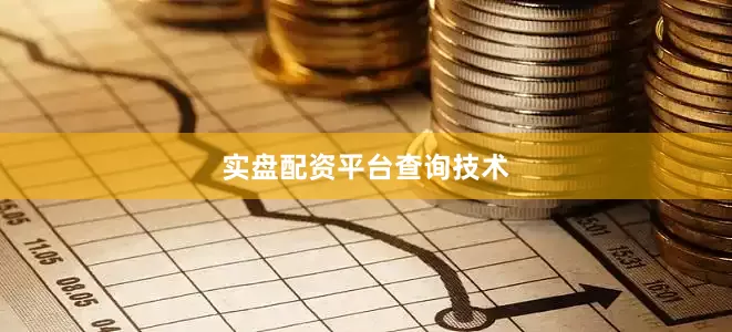 实盘配资平台查询技术