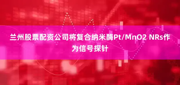 兰州股票配资公司将复合纳米酶Pt/MnO2 NRs作为信号探针
